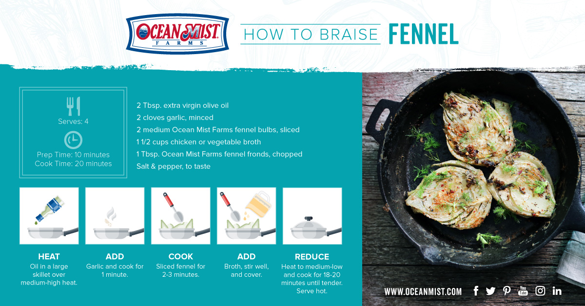 OM_How-to-Cook-Fennel_Social-Breaks_FB-Braise