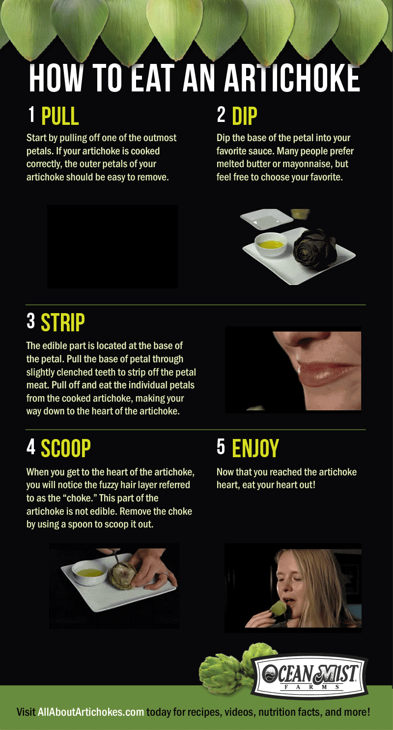 How to eat an artichoke infographic