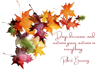 Fall quote-blog