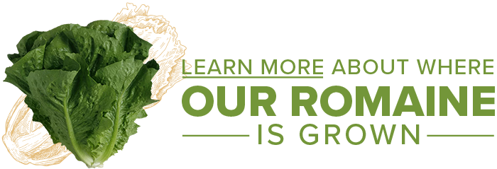 Learn more about where our romaine is grown