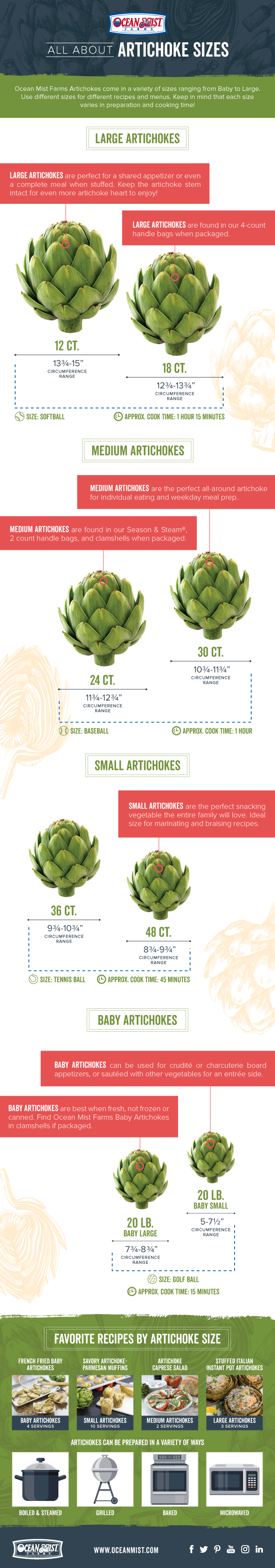 OM_All-About-Artichokes_Infographic