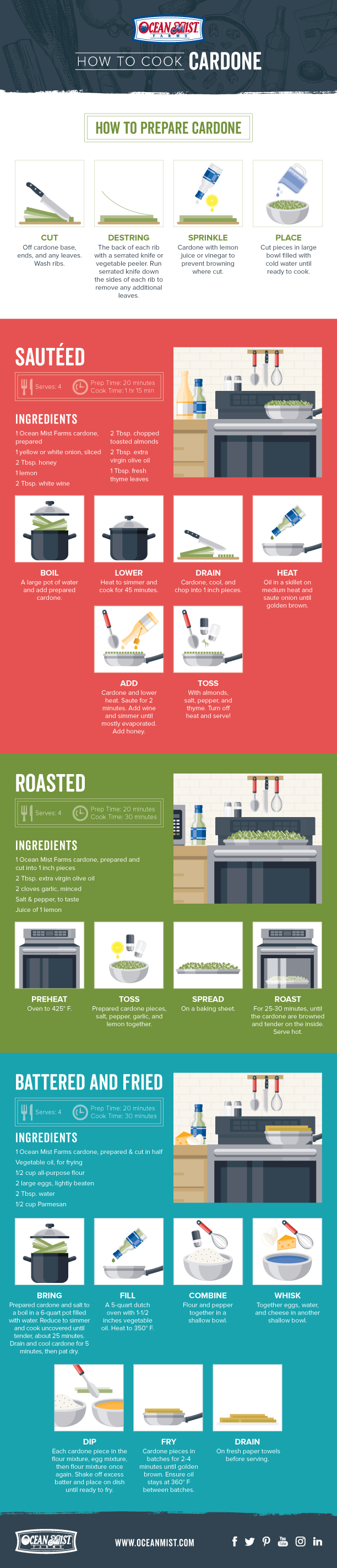 OM_How-to-Cook-Cardone_Infographic