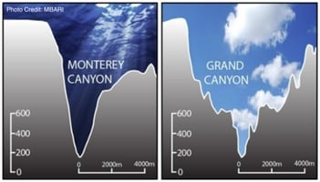 Submarine Canyon graphic