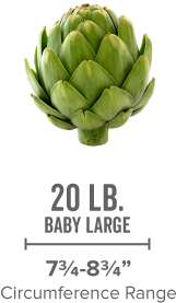 artichoke-baby-large