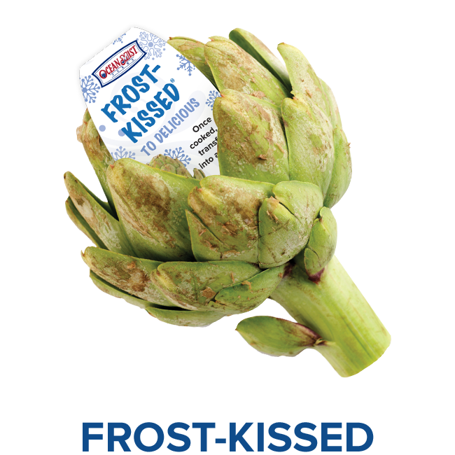 Frost Kissed Artichoke