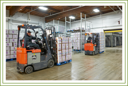 workers operating forklifts