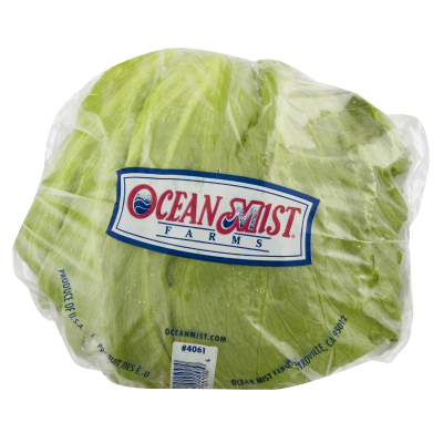 bulk-iceberg-lettuce