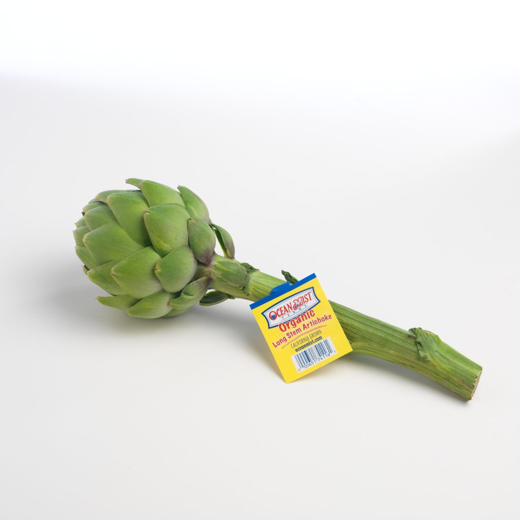 ARTICHOKE, LONG-STEM