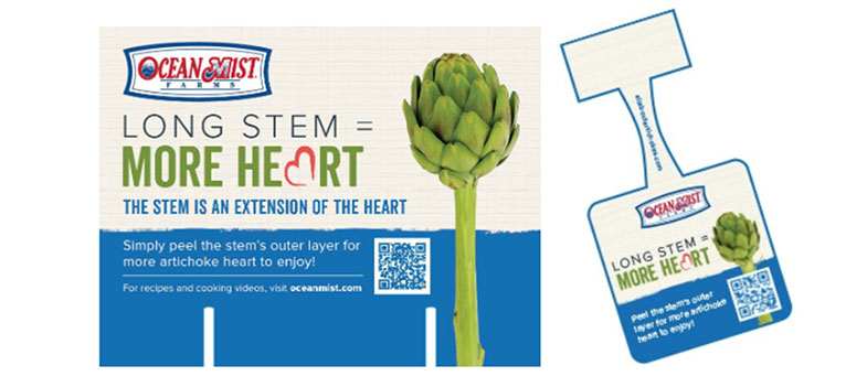Long-Stem Artichokes