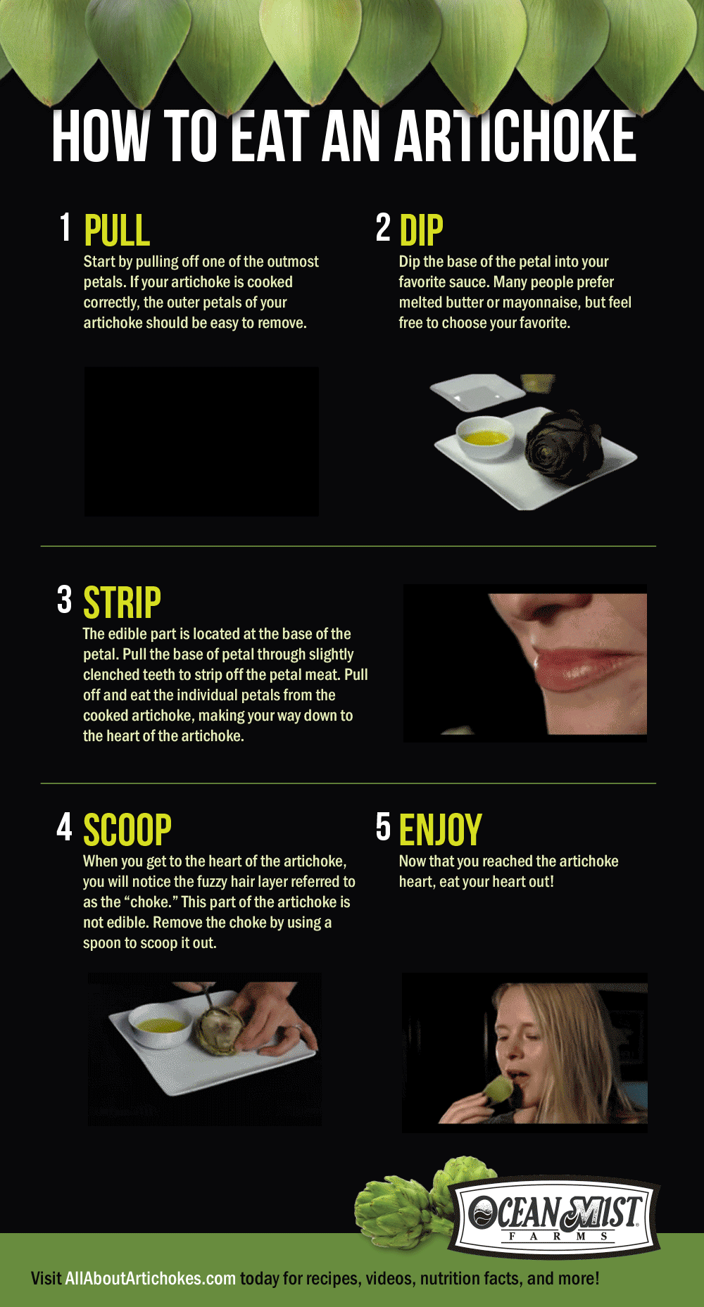 Ocean Mist- How To Eat an Artichoke Gifographic (allaboutartichokes)