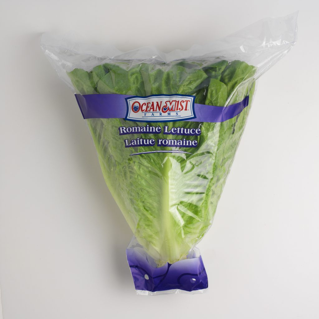 ROMAINE LETTUCE