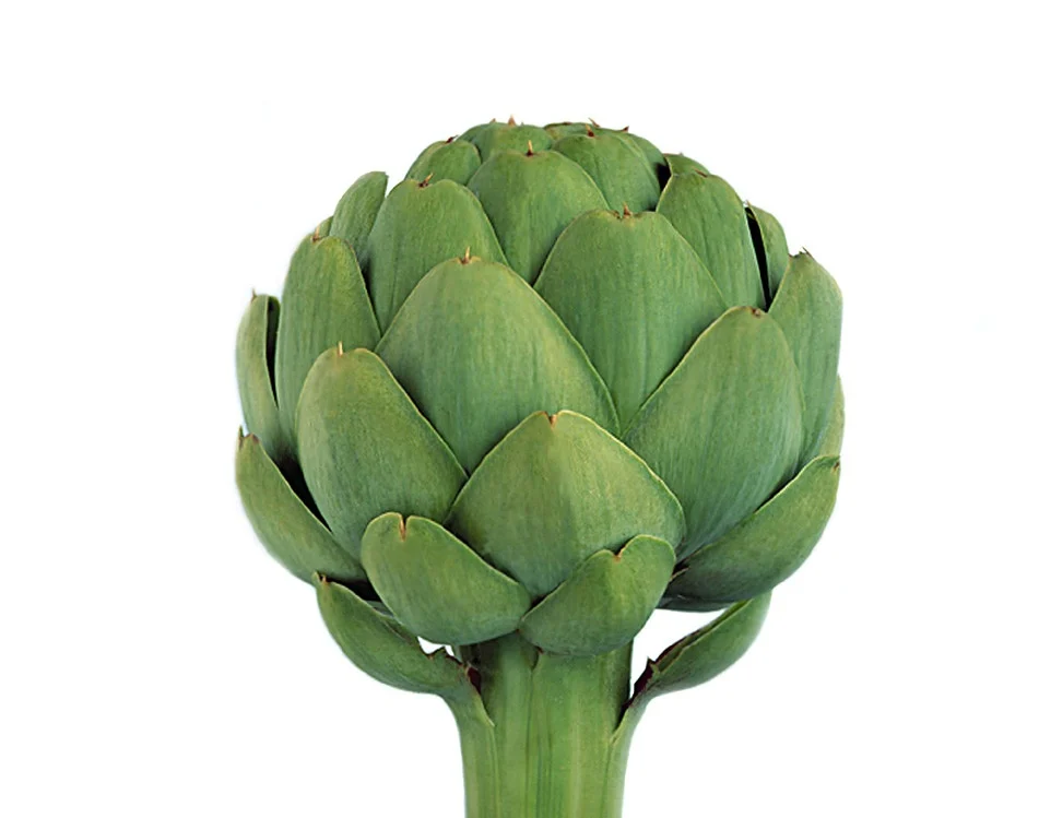 artichoke