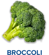 broccoli
