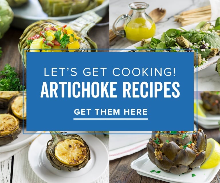 Artichoke Recipes Link