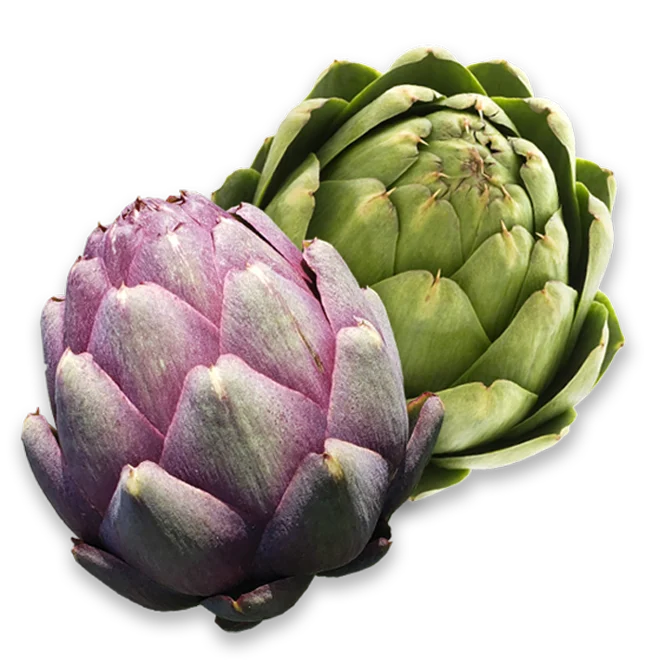 Purple and green artichokes collage