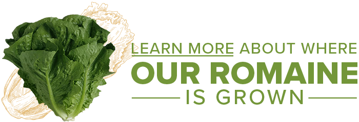 Learn More About Where Our Romaine is Grown