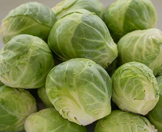 close up photo of brussels sprouts