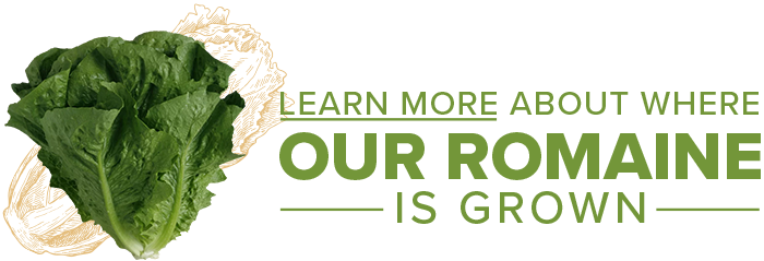 Learn More About Where Our Romain is Grown