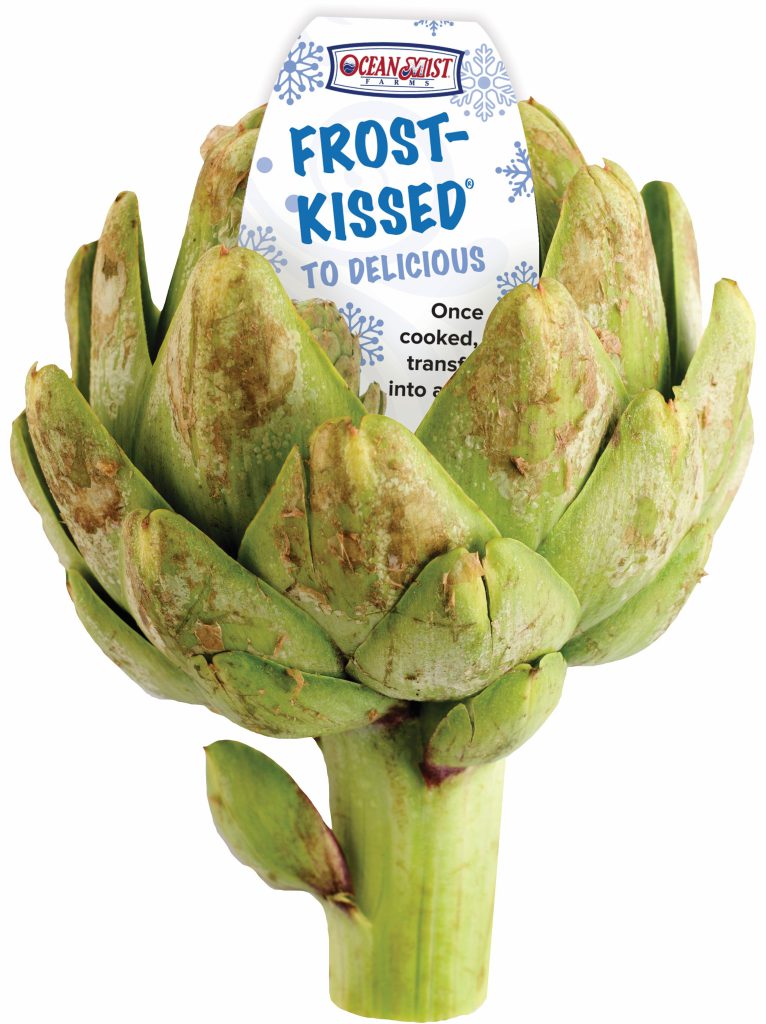 Frost Kissed Artichoke