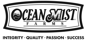 Ocean-Mist-Values-BW-PNG