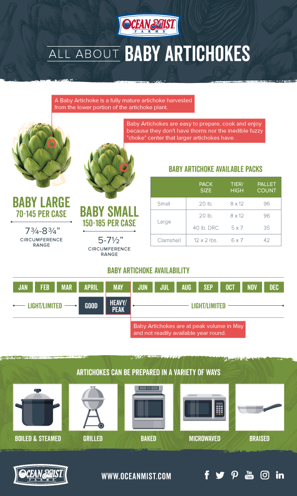 All About Baby Artichokes infographic