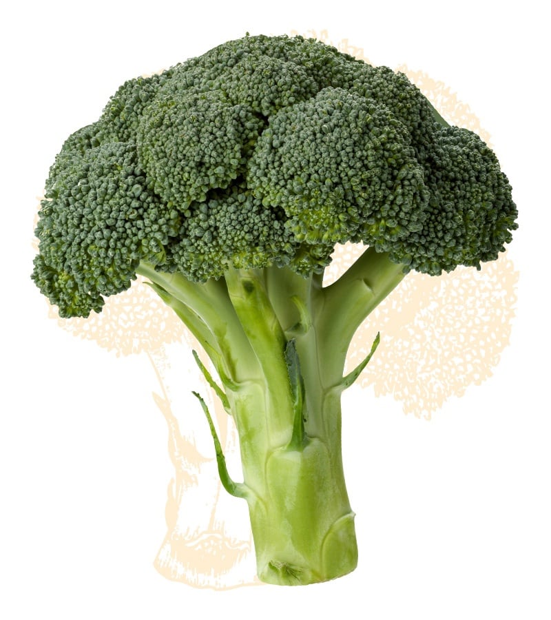 broccoli