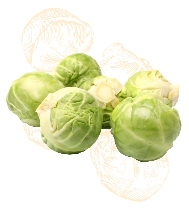 Brussels Sprouts