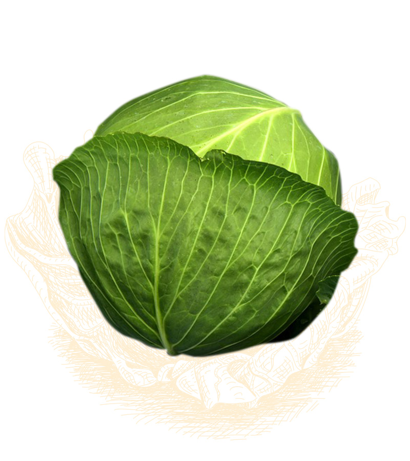 cabbage