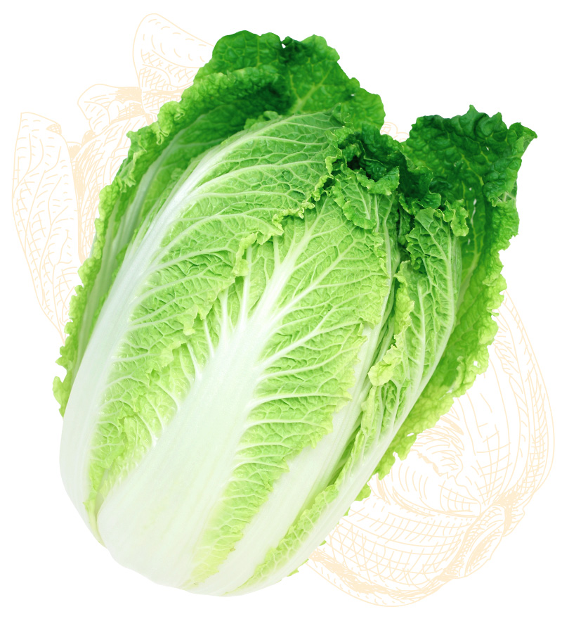 cabbage