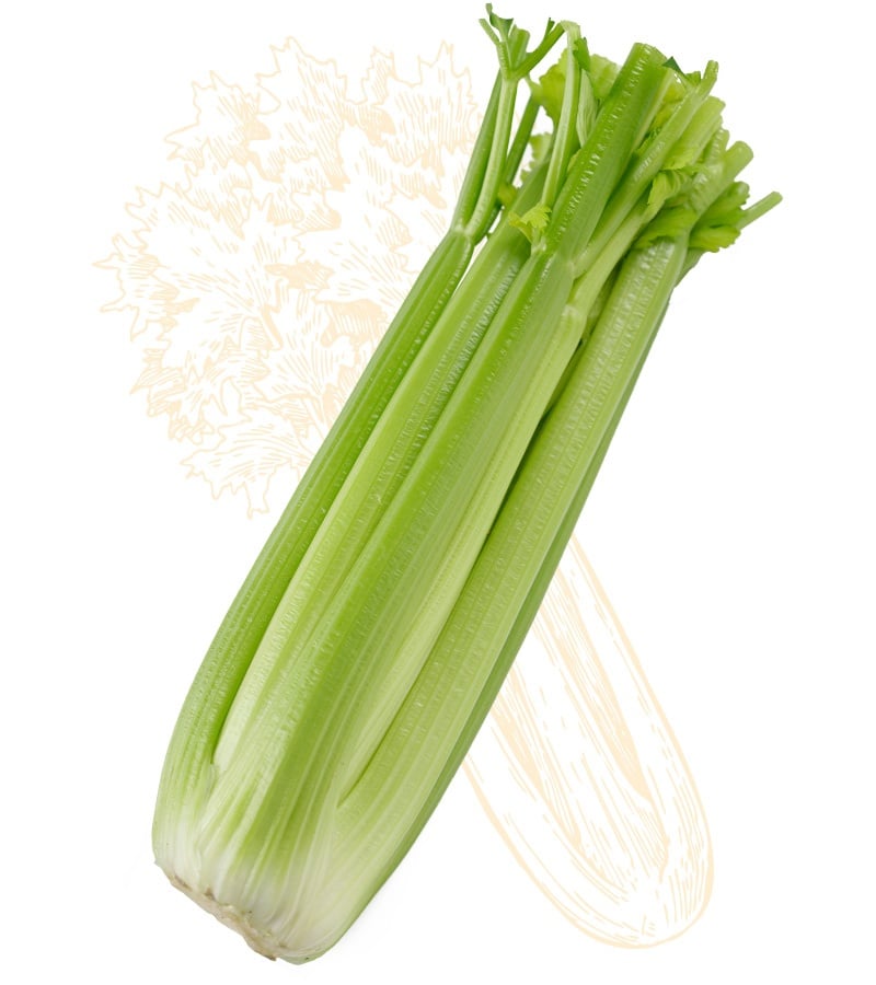 celery