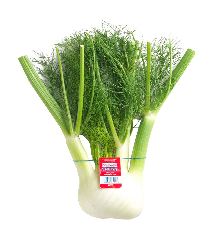 Fennel