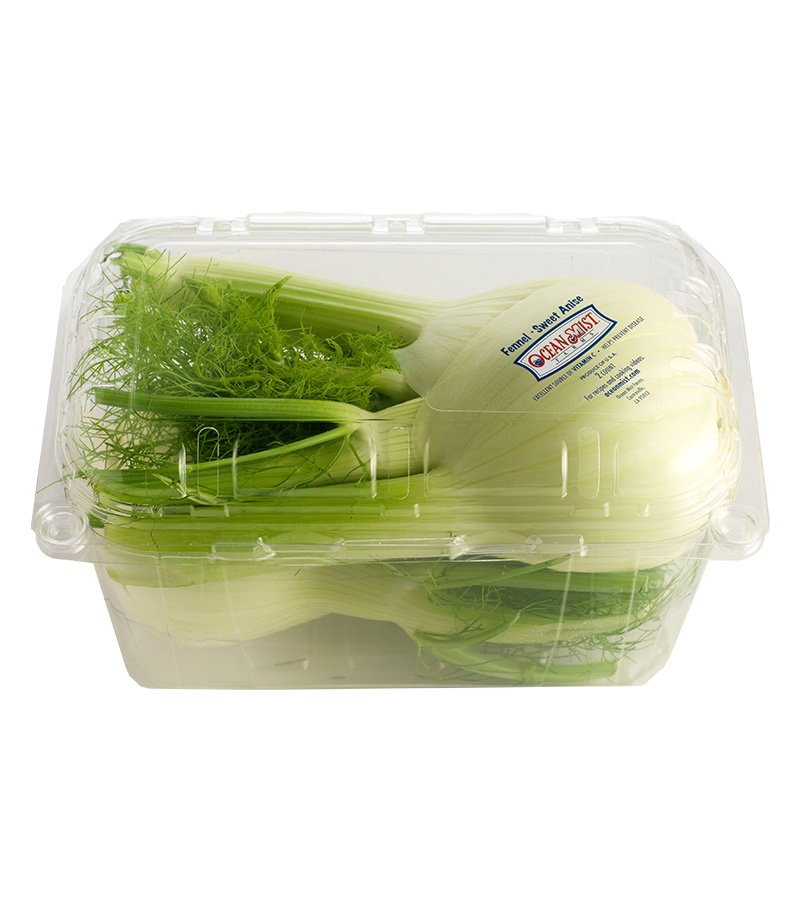 Fennel