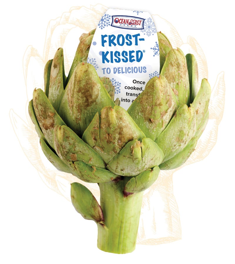 Frost Kissed Artichoke