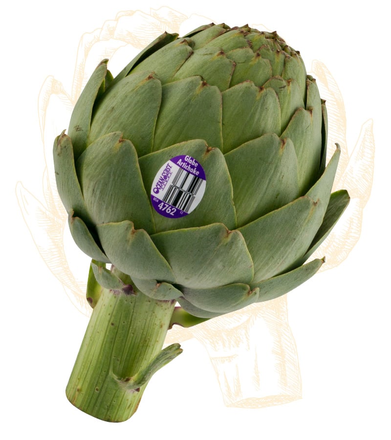 artichoke