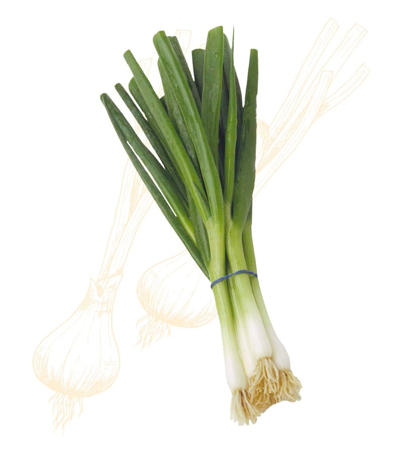 Green Onions