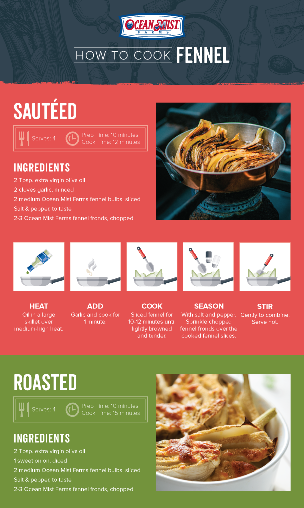 How to Cook Fennel infographic