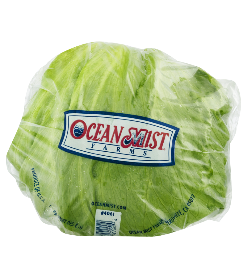 Iceberg Lettuce 
