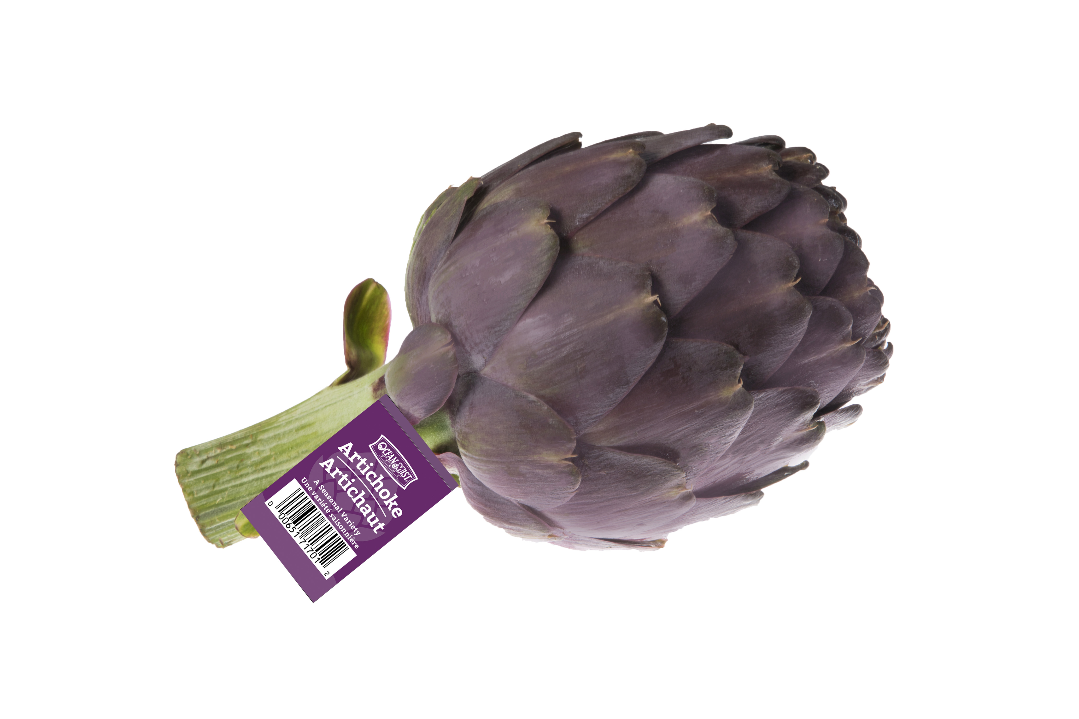 OMF-PurpleArtichoke-Elastitag