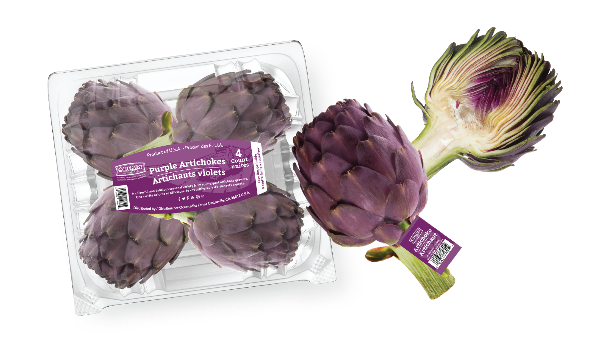 OMF Purple Artichokes 2024
