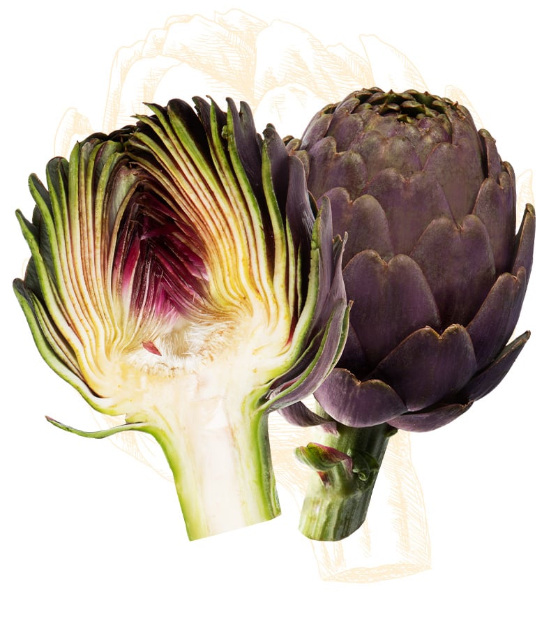 purple artichokes