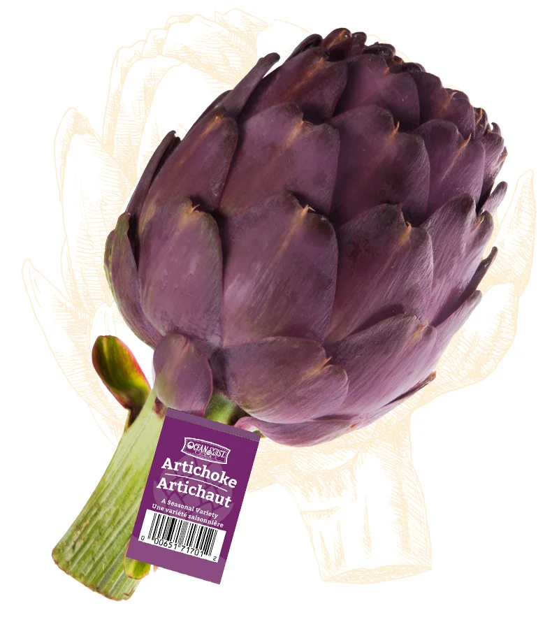 Purple Artichoke