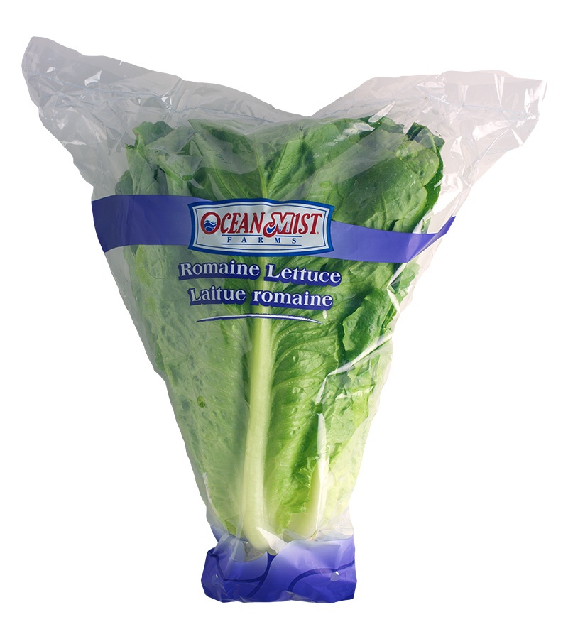 Romaine
