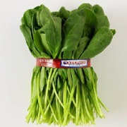 spinach